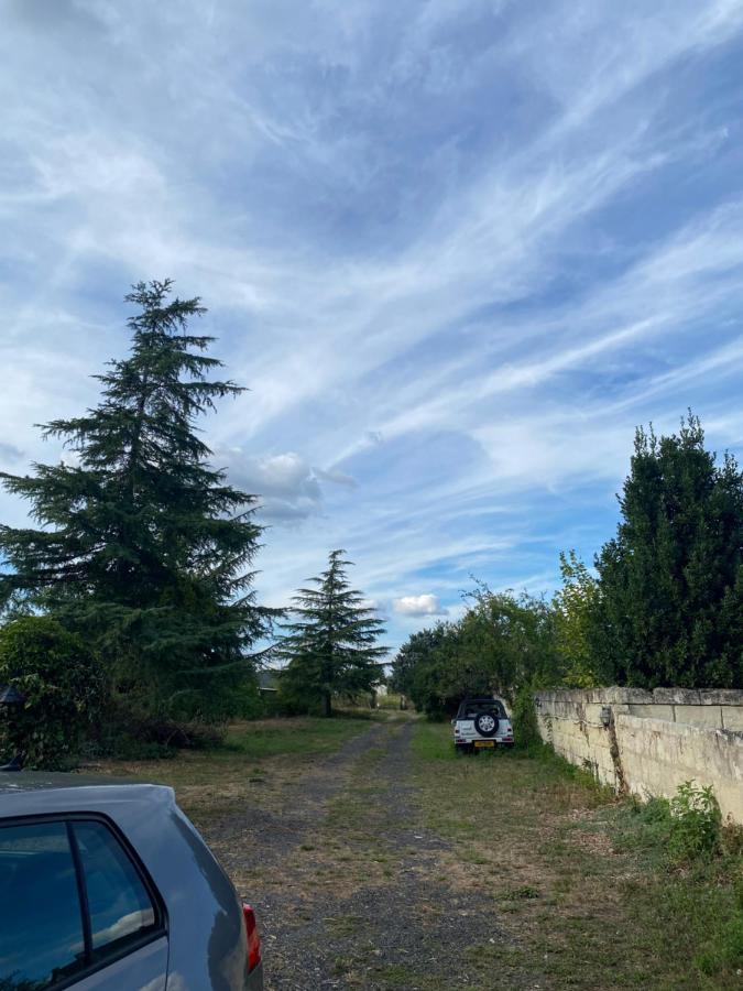 Gites De La Levee Chouzé-sur-Loire Extérieur photo